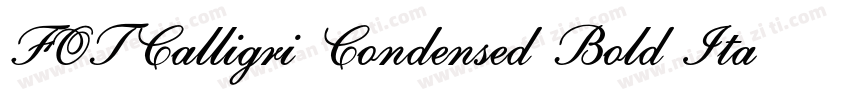 FOTCalligri Condensed Bold ItalicVe字体转换